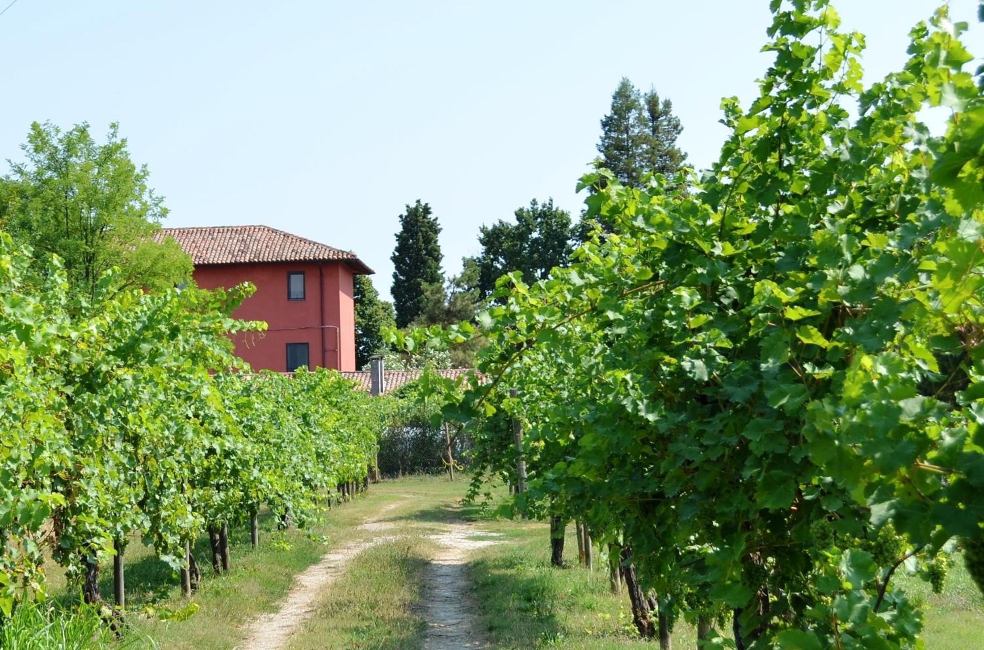 Agriturismo Isola Augusta Palazzolo dello Stella Eksteriør bilde